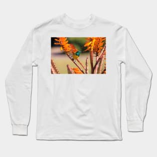 Collared Sunbird with Orange Flowers, South Africa Long Sleeve T-Shirt